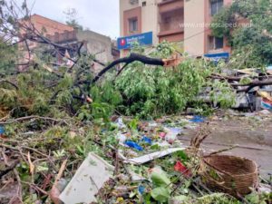 Amphan Cyclone effect in Bidhan Sarani, 21st May 2020