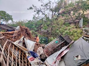 Amphan Cyclone effect, tree uprooted in Bidhan Sarani, 21st May 2020